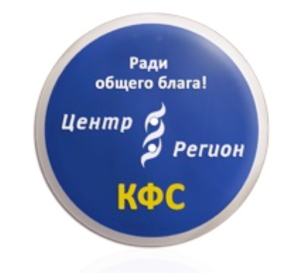 Kolzov FC Handychip